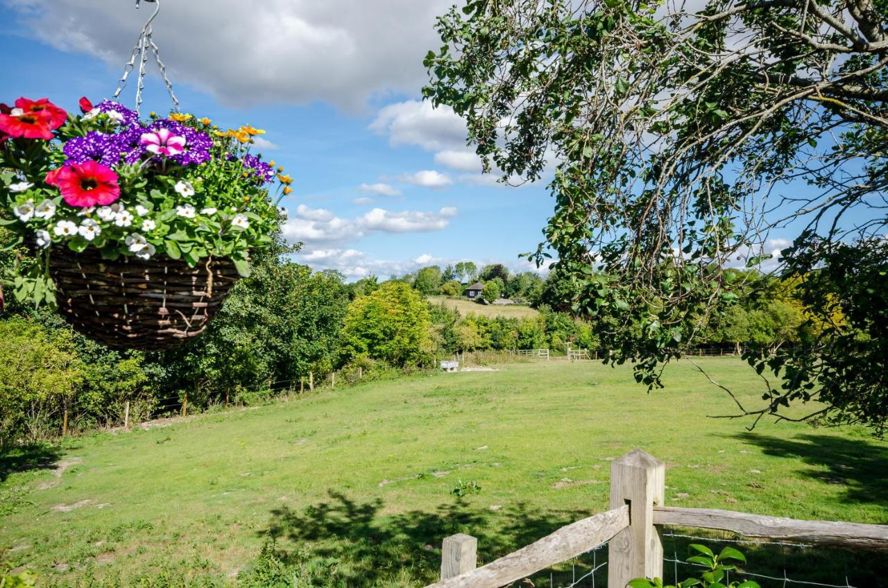 Lavender Lodge Арундел Экстерьер фото